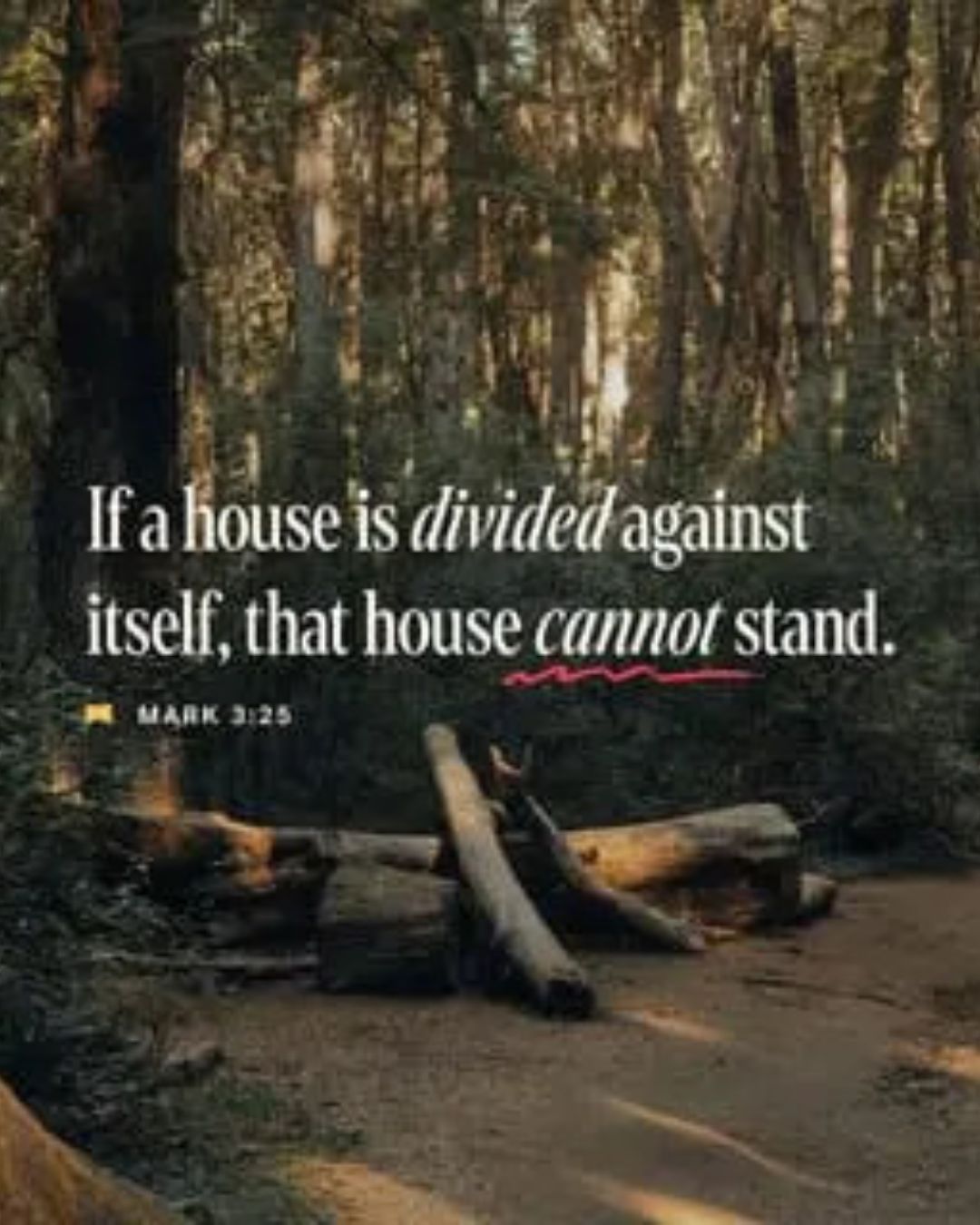 A Divided House Cannot Stand