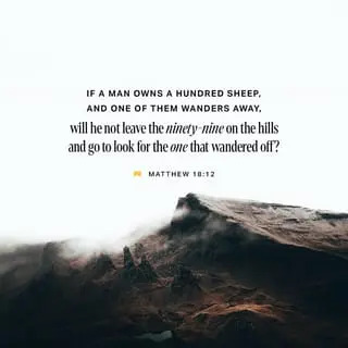 Devotions