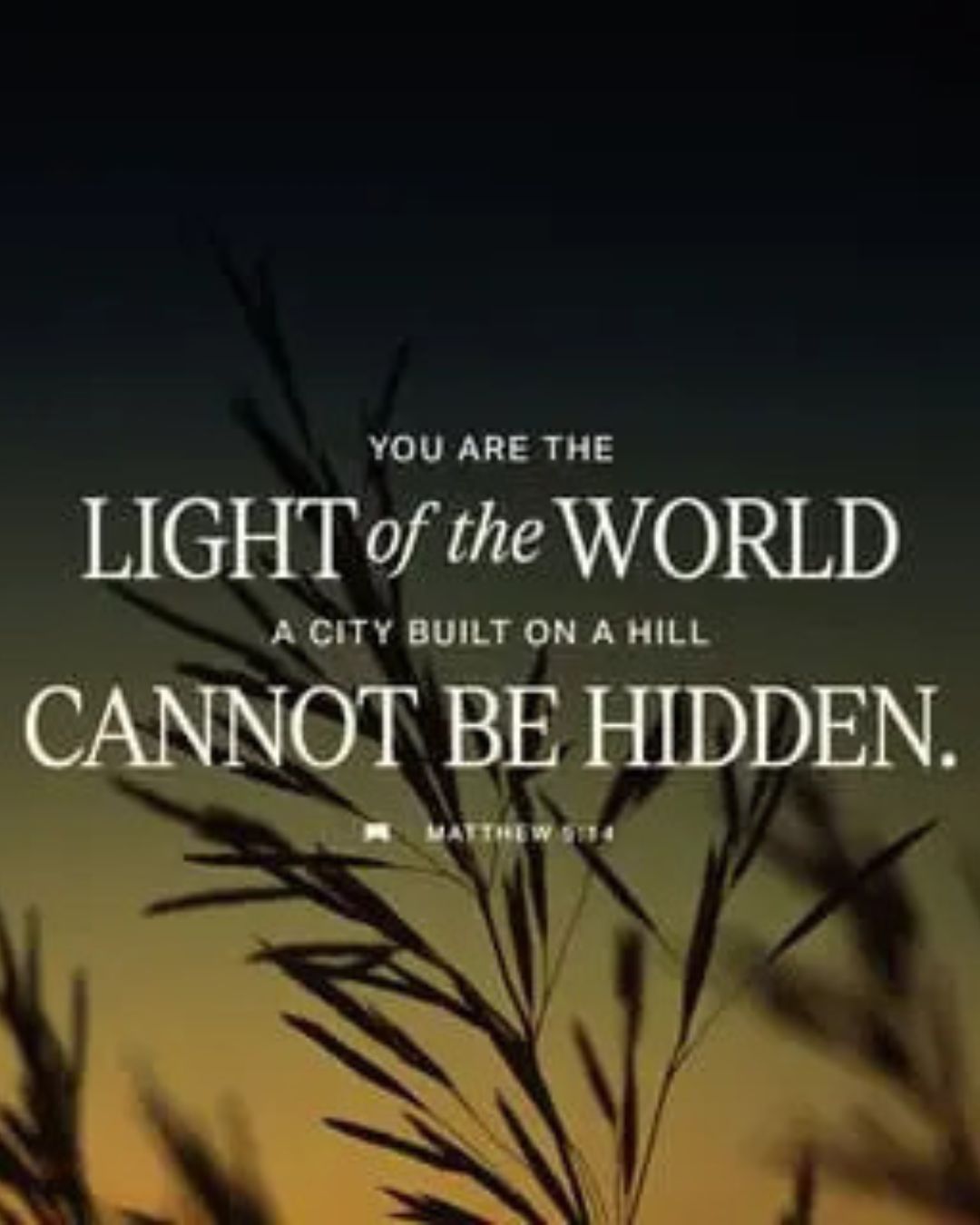 Your are the light of the World